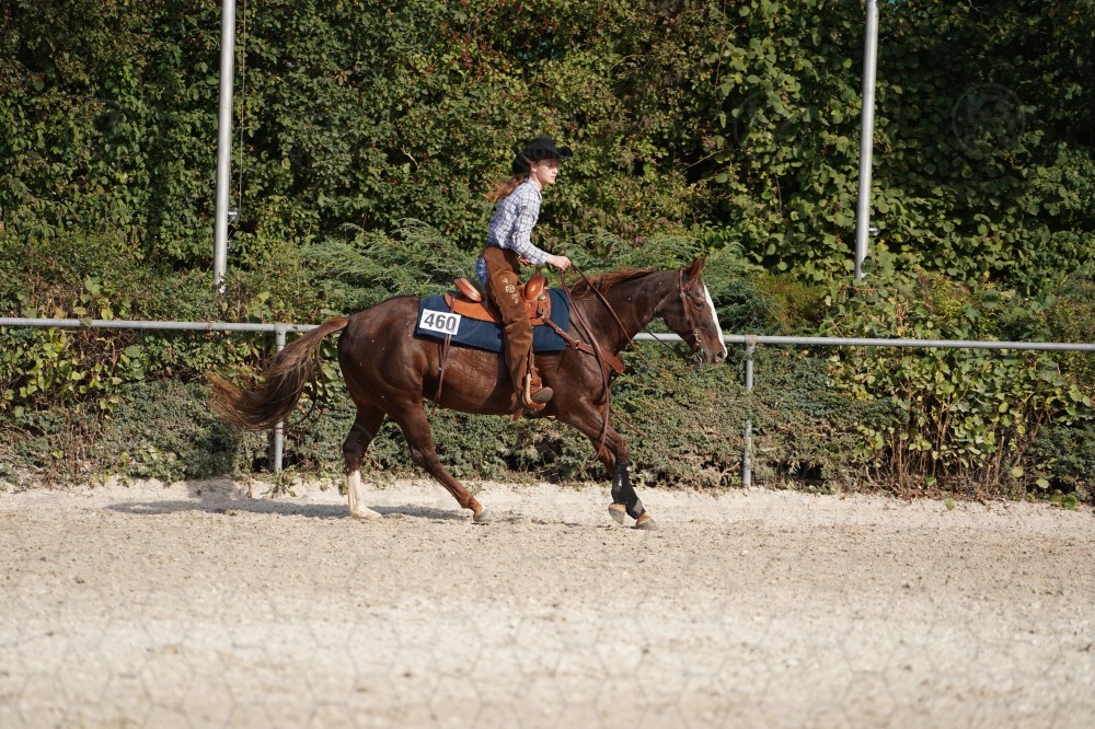 s_A_908396.JPG